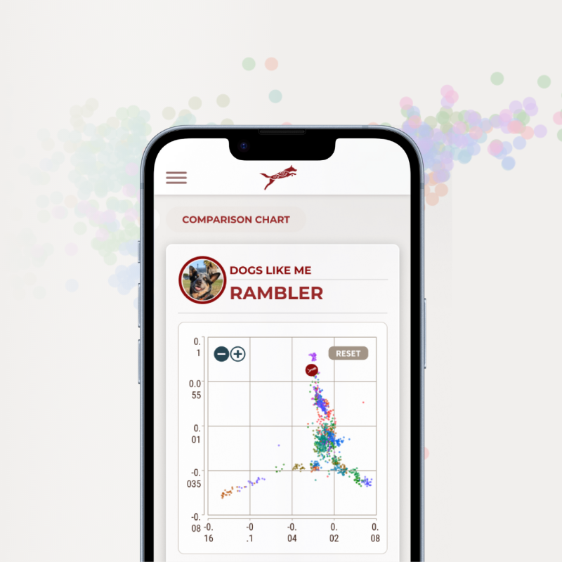 Complete Canine DNA Test