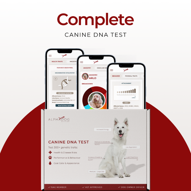 Complete Canine DNA Test