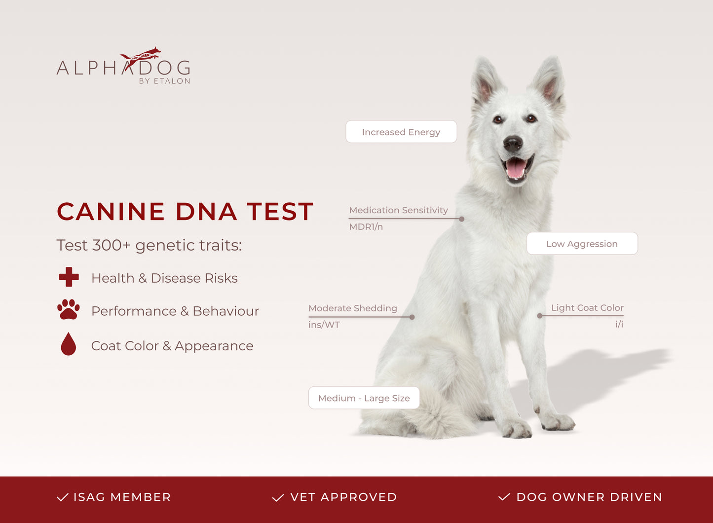 Canine DNA Test