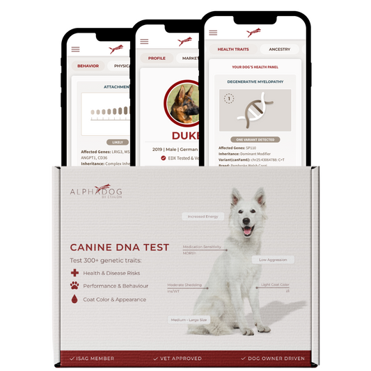 The Essential Canine DNA Test